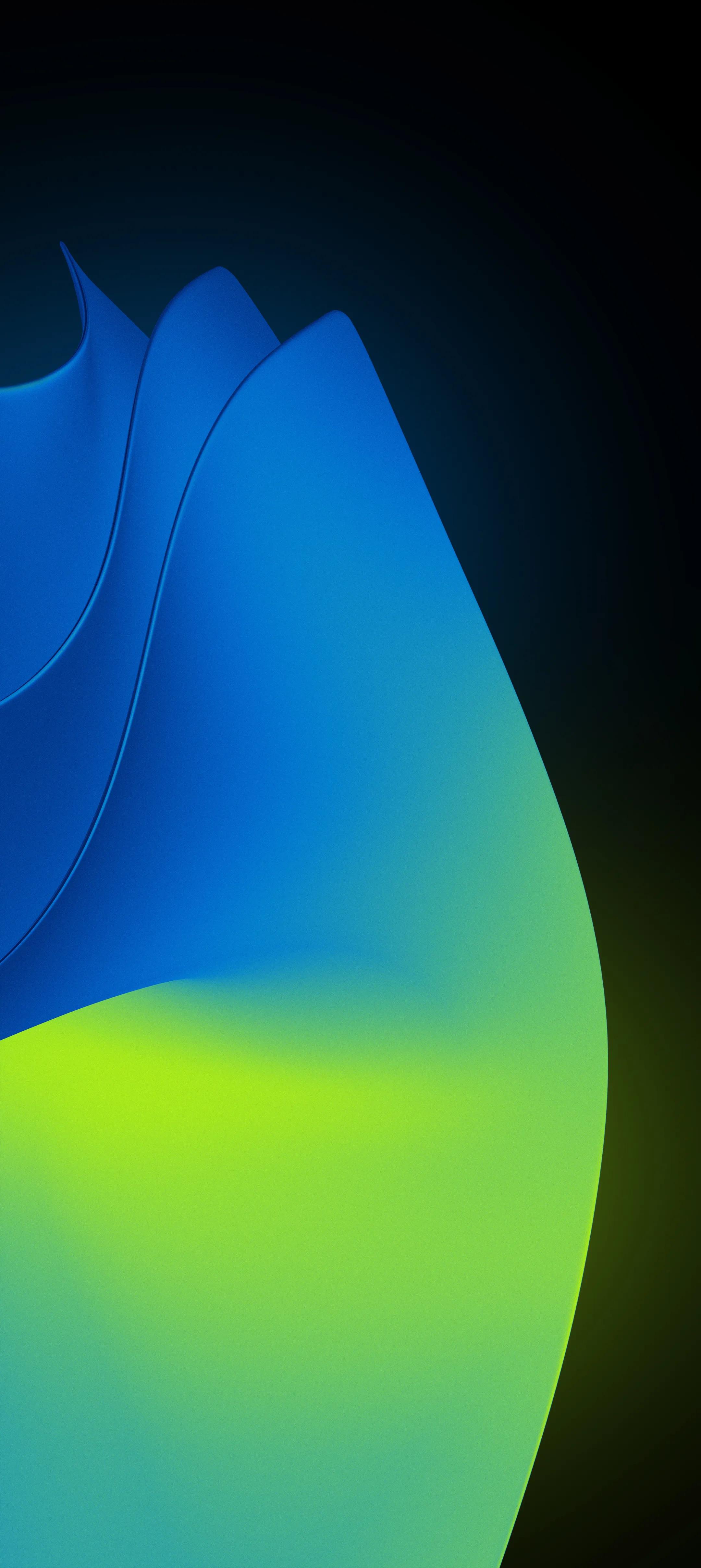 花18元买的壁纸,精美壁纸500欧元