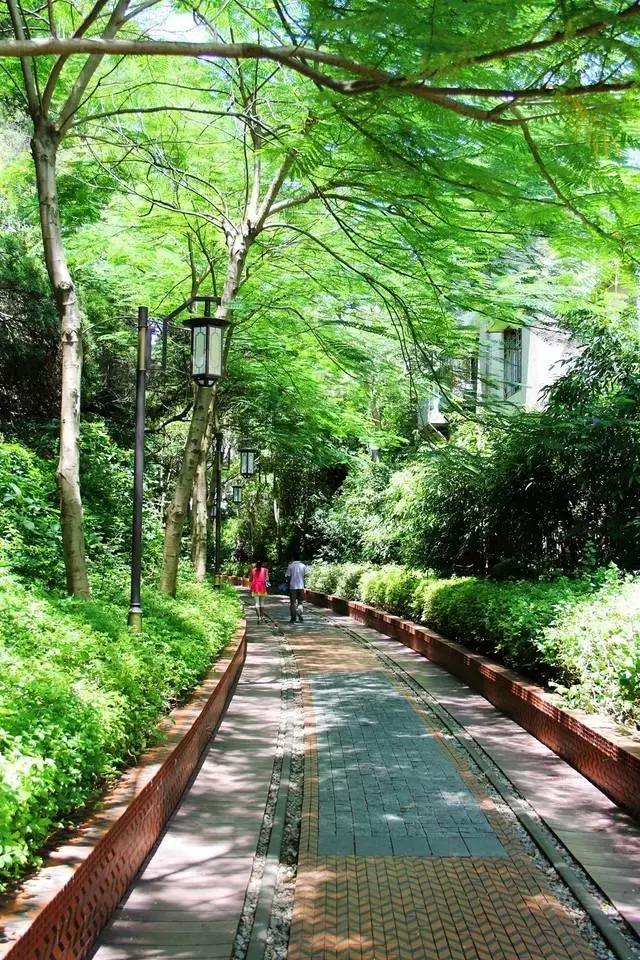 来厦门听海浪的声音,来厦门鼓浪屿说说