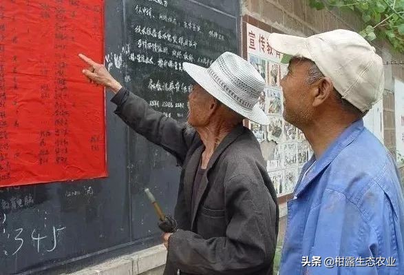 如何查询低保申请进度,毕节阴底乡路朗村2019年低保查询