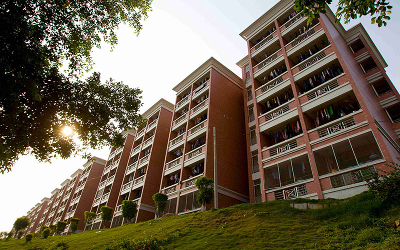 广州大学松田学院:投档线出炉!文科462分,理科446分