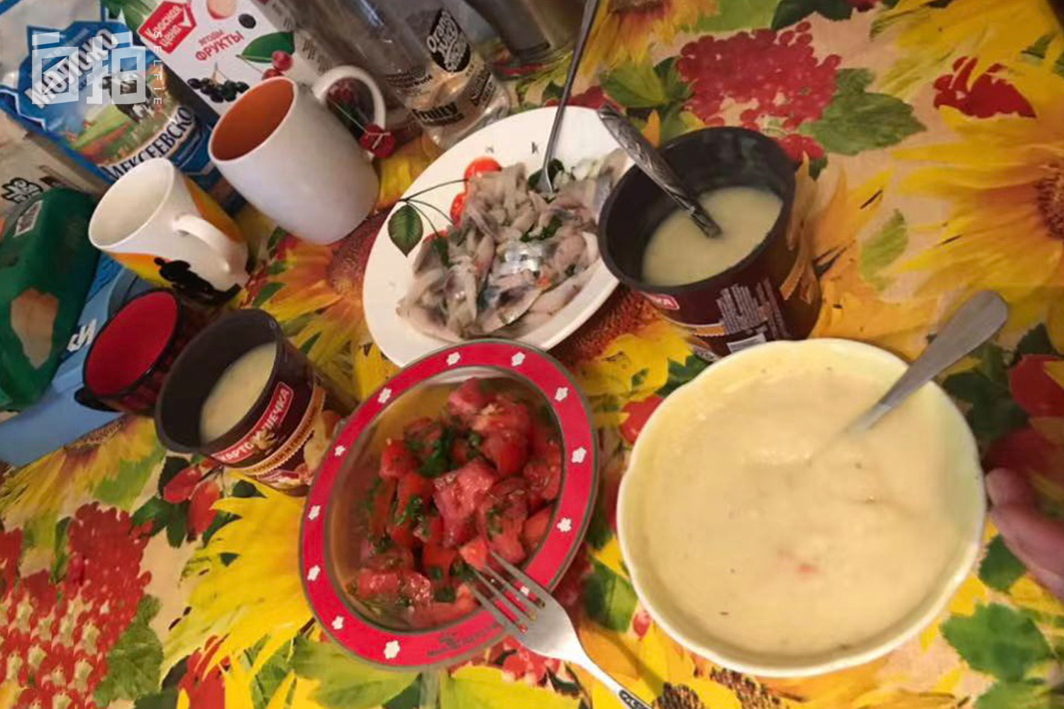 鎴戝湪涔濆崄骞翠唬鍙戝鑷村瘜,鎴戝湪90骞翠唬鍙戝鑷村瘜鍏ㄦ枃鍏嶈垂闃呰