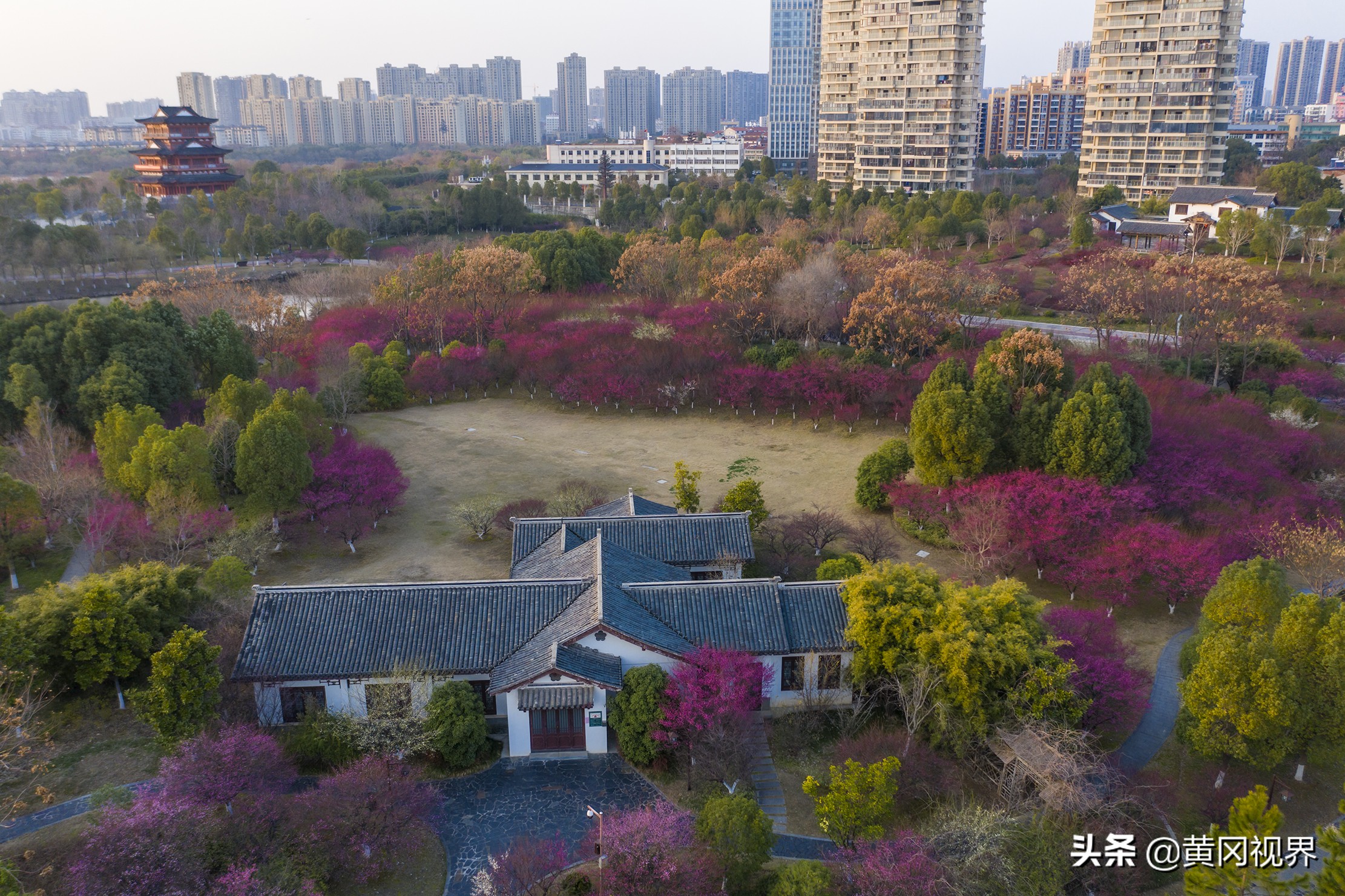 疫战日常,疫期日常