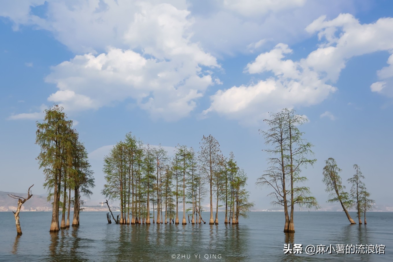 大理古城最高观景民宿,大理古城最高端的民宿