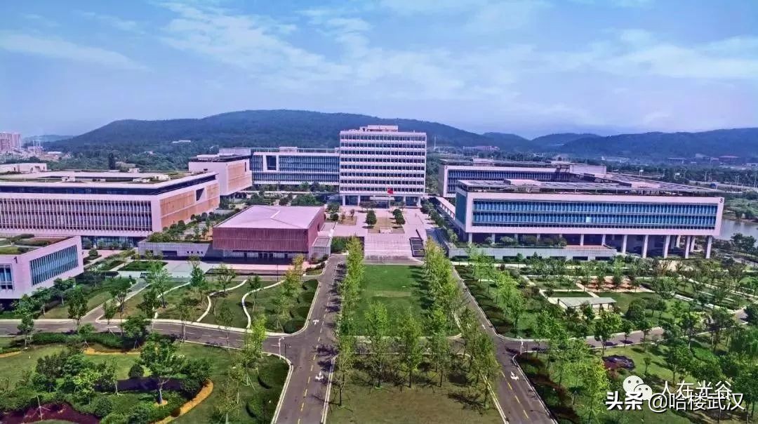 光谷东分析,浅析光谷东二手房难卖原因