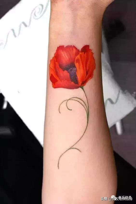 纹身素材网站,纹身素材大全图片白底