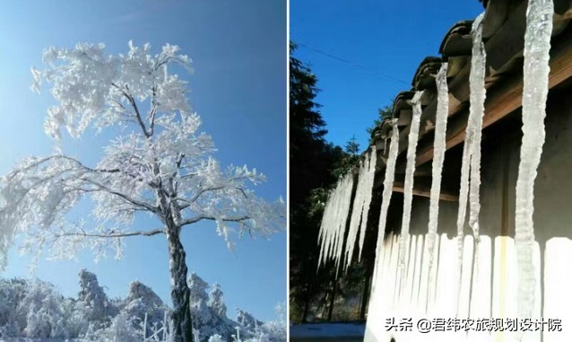 江西仙姑坛景区,2024年铜鼓仙姑坛杜鹃花开了吗