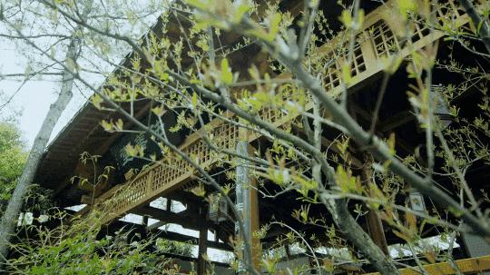 江南温泉第一,江南第一温泉