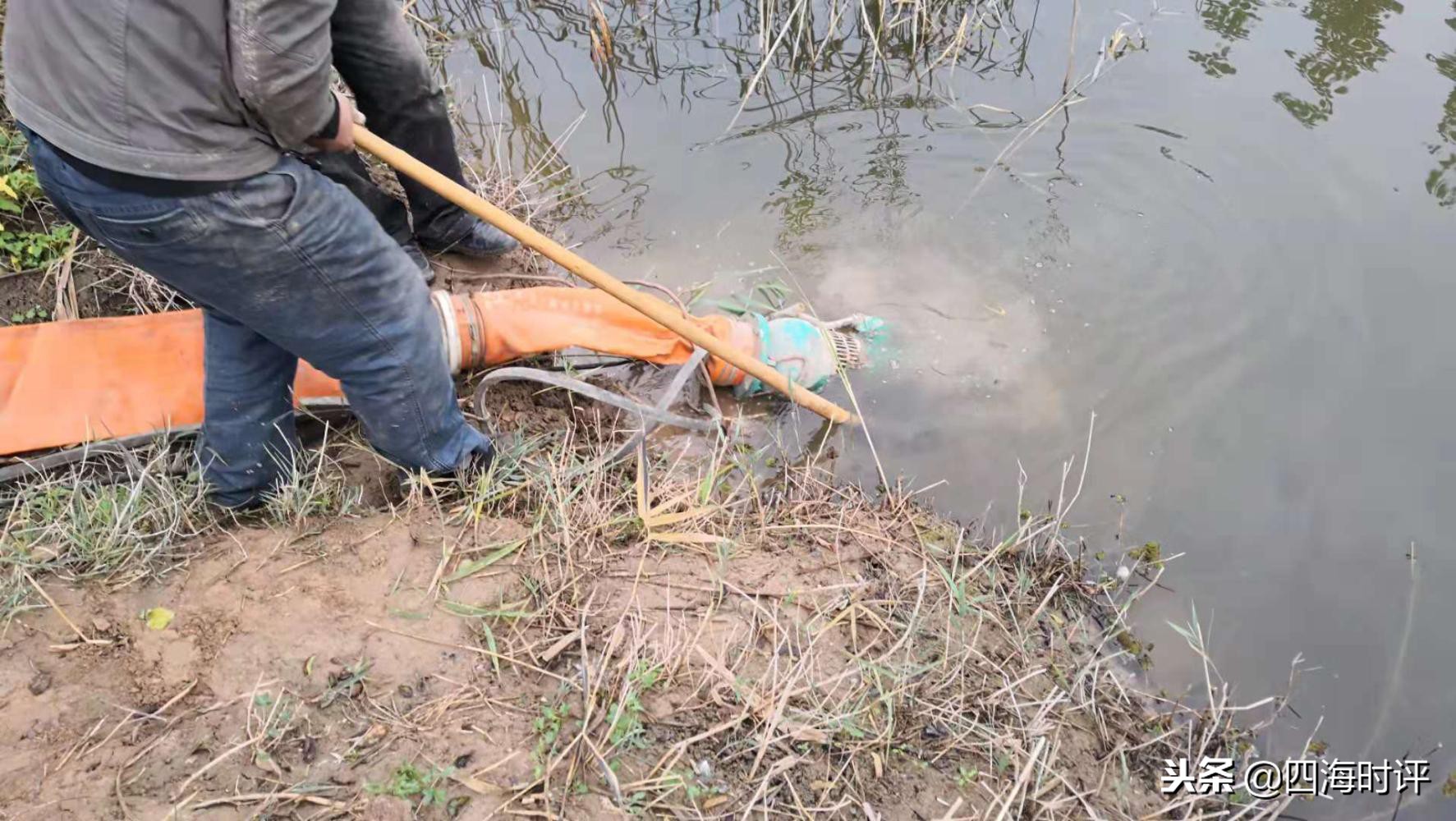 小麦浇地时间表,什么情况下小麦该浇地了