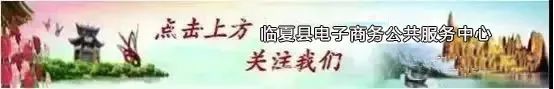 商务厅到我县调研电商发展,商务厅领导调研农村电商物流