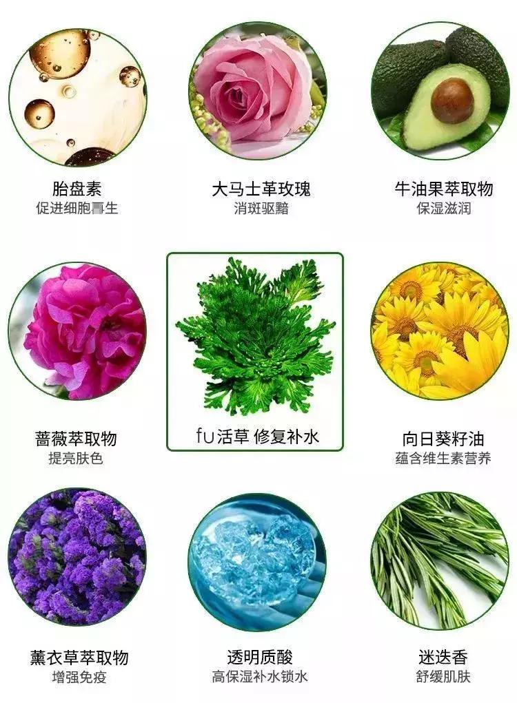 最强粘度面膜,复活草面膜补水面膜第一名