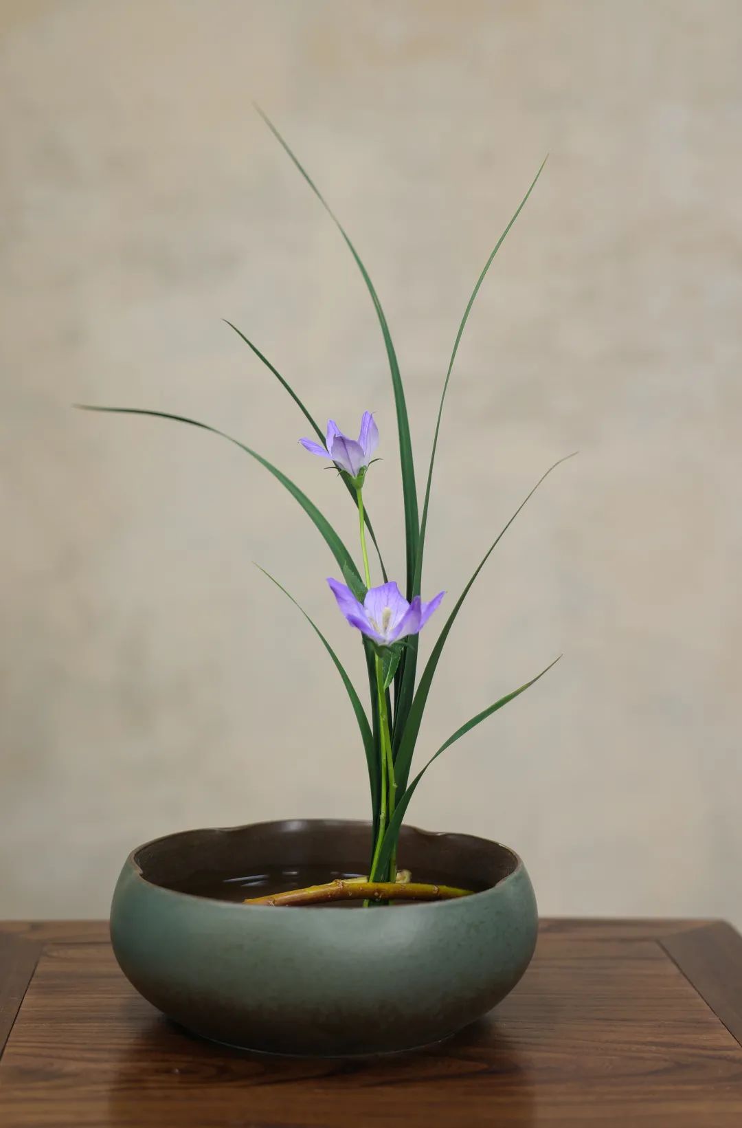 带你了解世界每一个角落,八大花艺流派