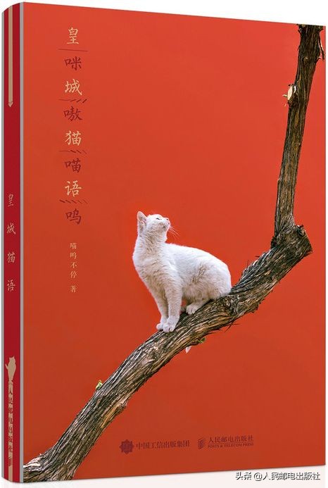 什么书值得入手,什么书好卖