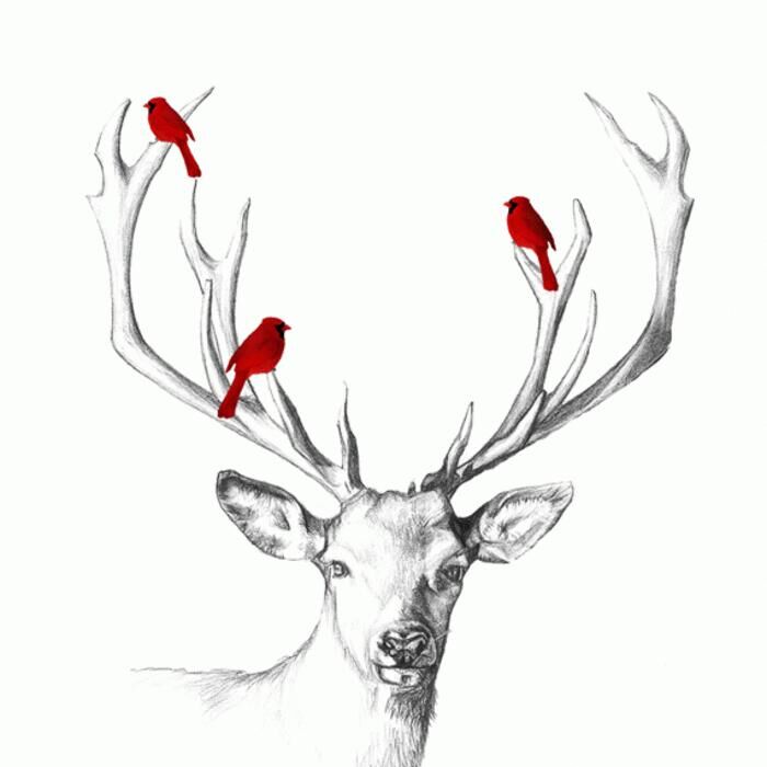 淘宝仪器类店铺怎么运营,如何开淘宝网店及运营店铺