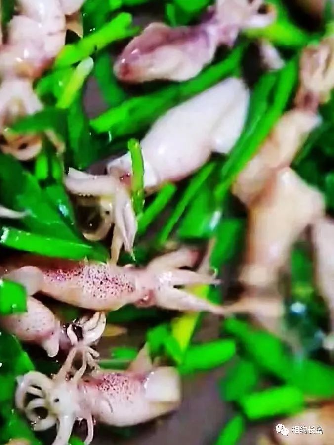 闀垮矝缃戠孩娴烽矞,闀垮矝娴烽矞澶ч鍥剧墖