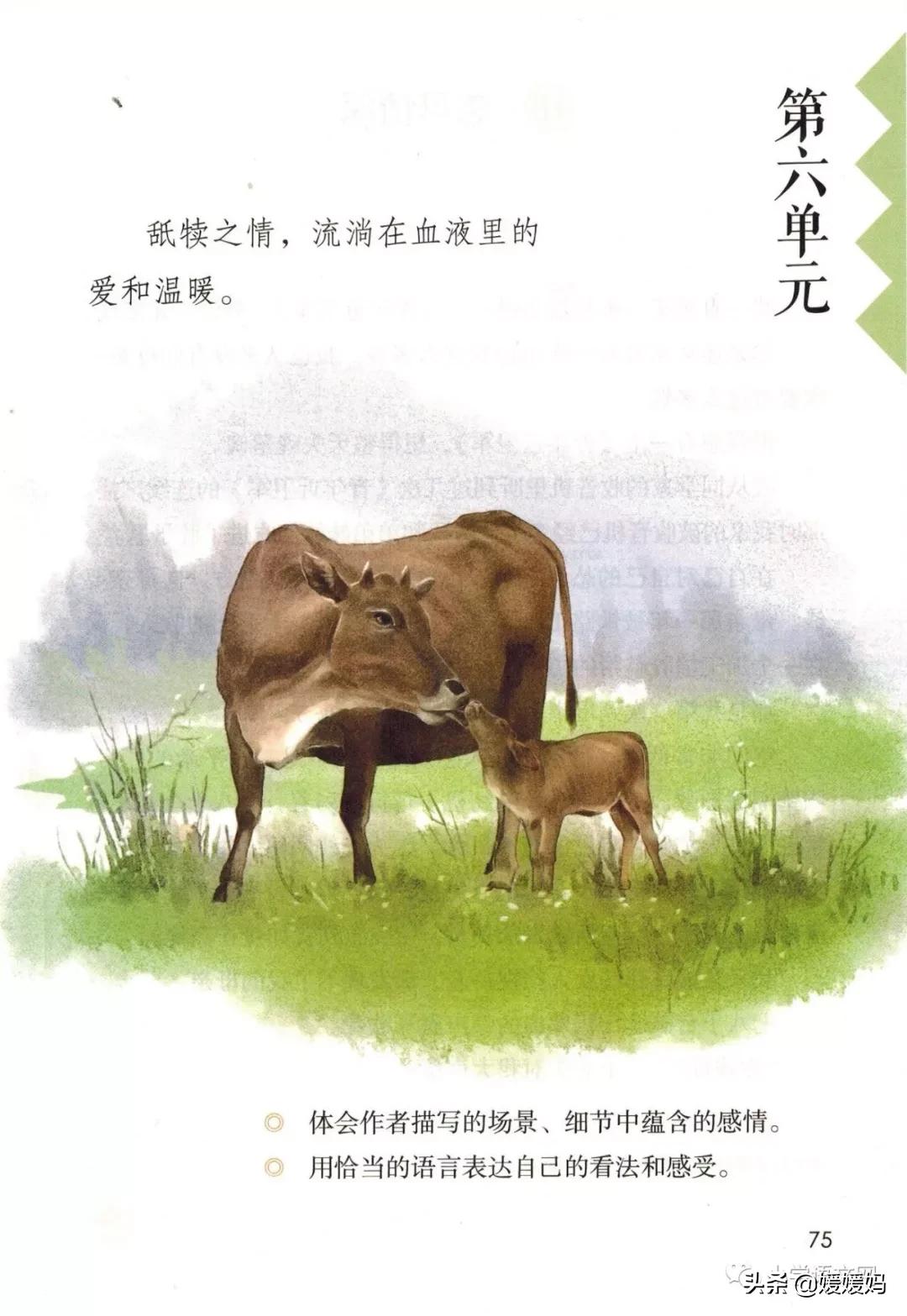 2020秋季五年级语文电子书,2020年五年级上册语文期中测试卷