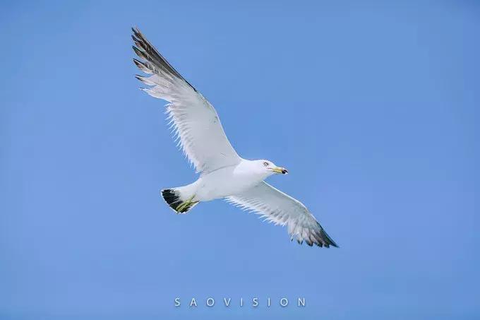 一生必去的中国50个最美原图,一生必去40个中国最美地方