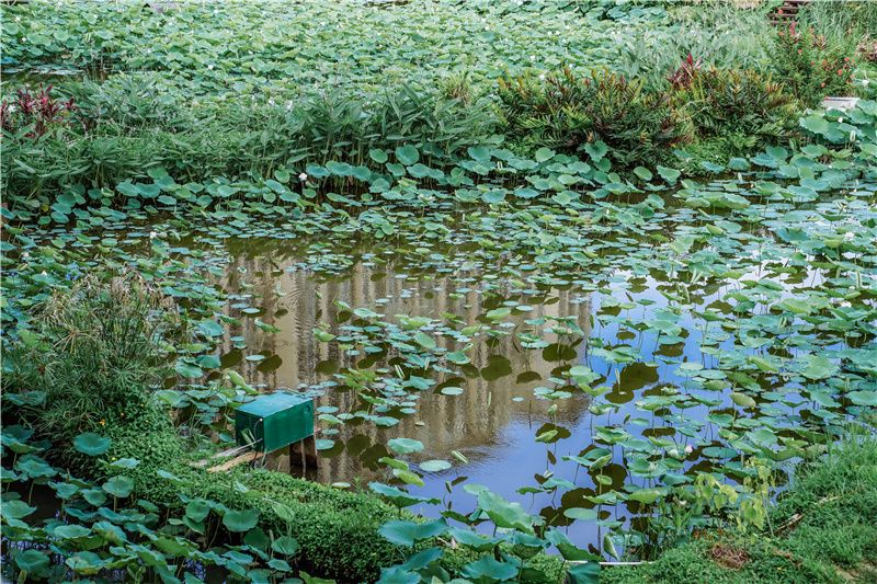 澳门最有名的景点大三巴,澳门必去景点之大三巴网红打卡地