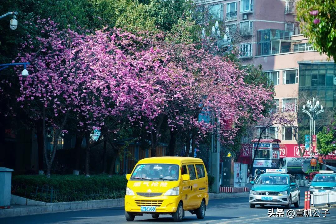 被大理的美景所折服,被丽江的风景美到了