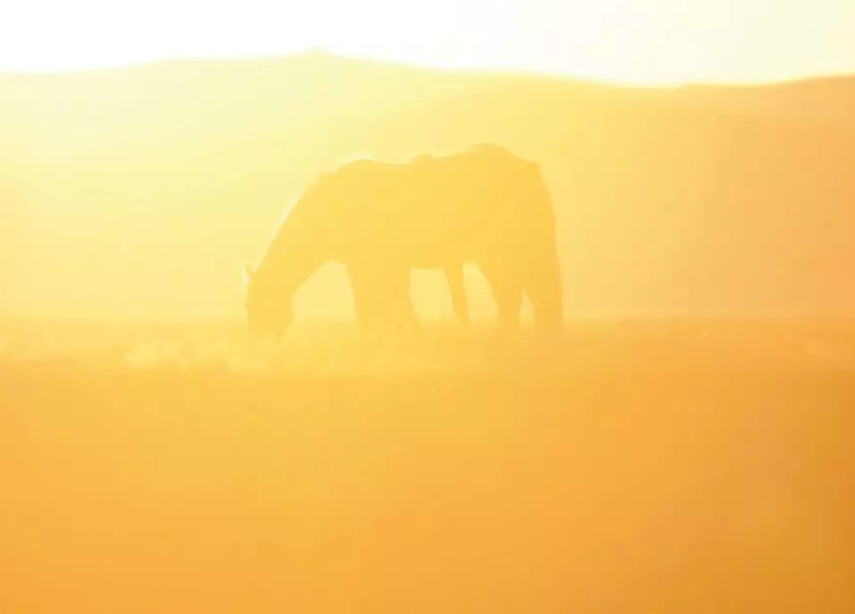 WE+酷窝“创事迹”——“走过全国150+城市，我还是决定创业！”