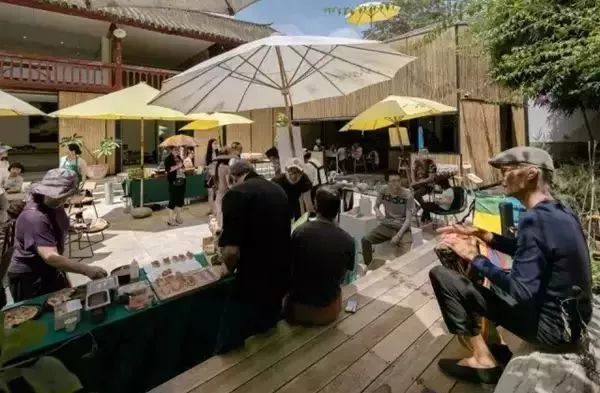 农村改造100个经典案例,乡村田园改造经典案例