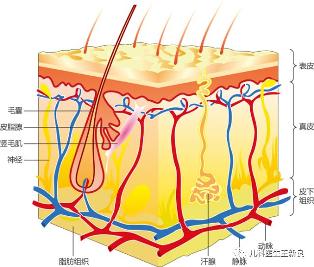 宝宝开水烫伤,九个月宝宝烫伤