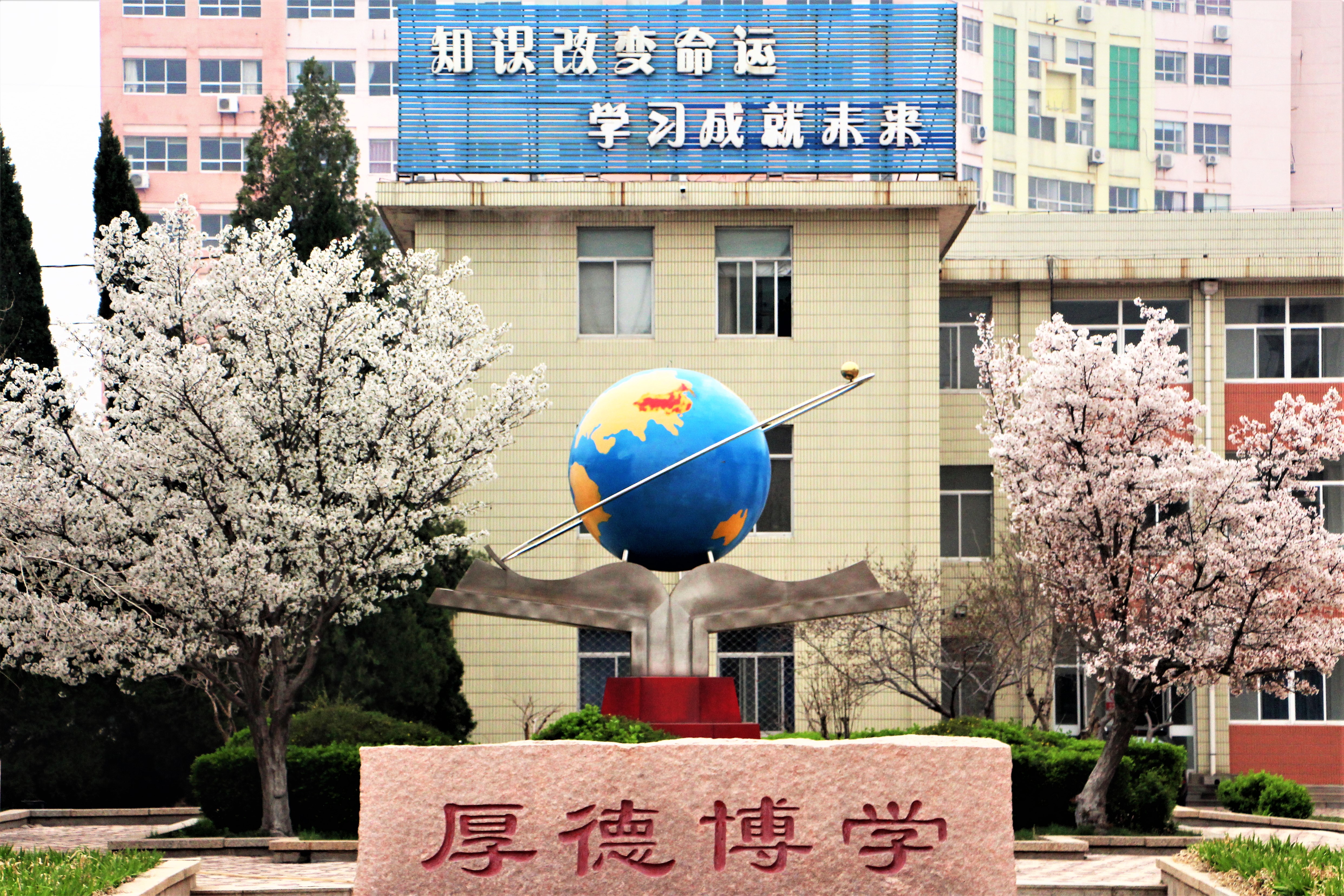 山东东营石大校区,东营市石大附中小学