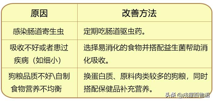 狗狗生病应该吃什么药最好,狗狗生病了不打算治了