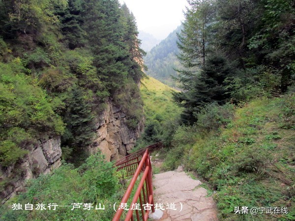 宁武芦芽山悬崖栈道,太原出发芦芽山马仑草原自驾路线