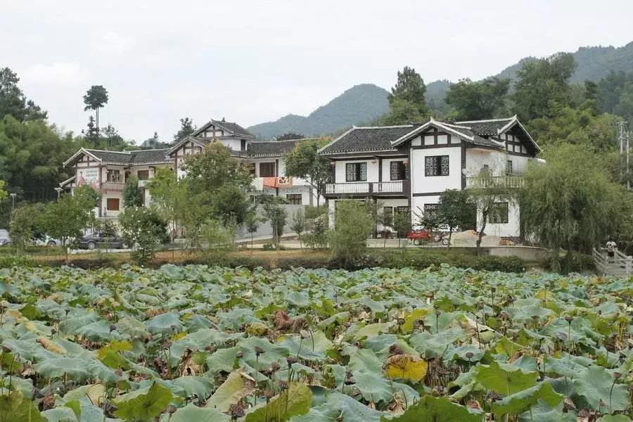 遵义书记龙长春罹患癌症，卸任感慨万千，最遗憾脱贫攻坚未告捷