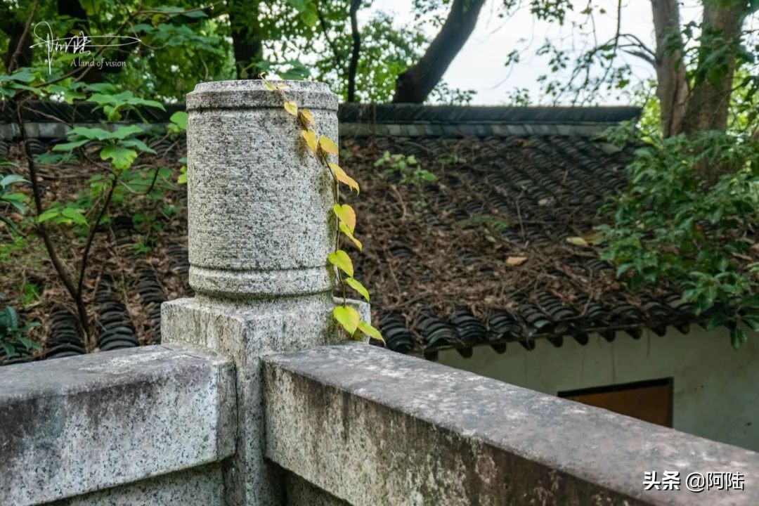 杭州第一街河坊街,杭州河坊街最繁华