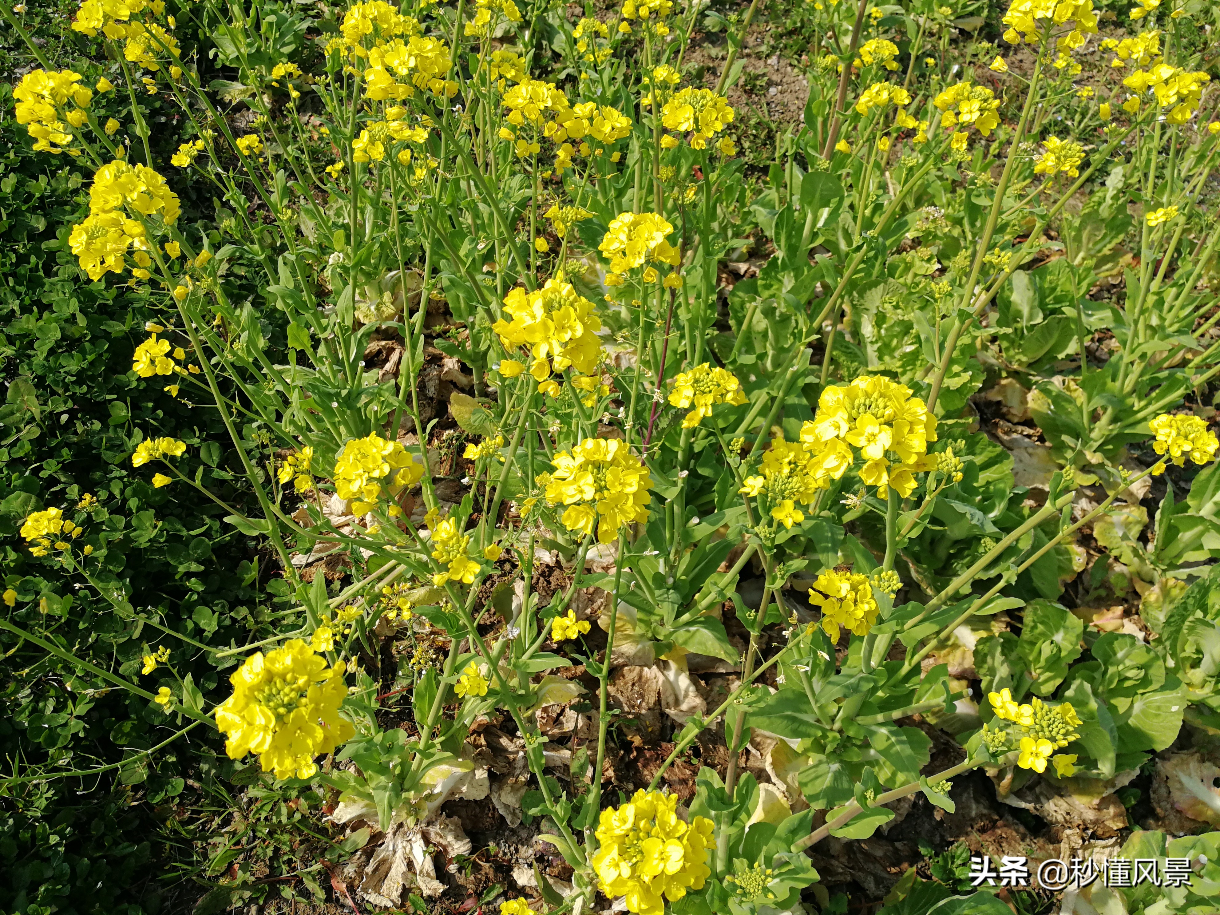 最近合肥的旅游景点推荐,合肥必去五大旅游景点推荐