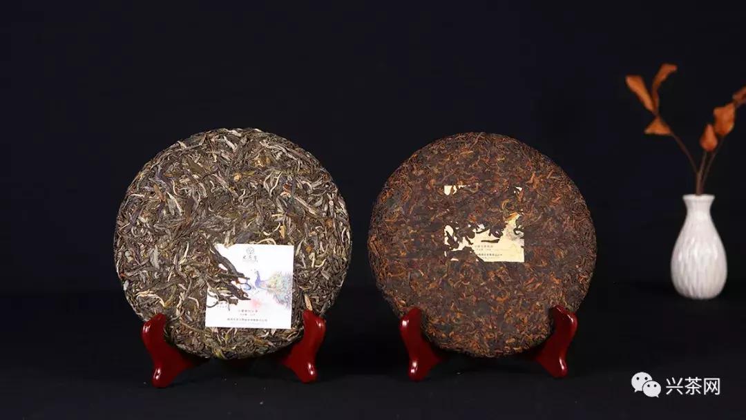 孔雀之美,顺势而赢老马帮即将推出的“金孔雀”有何创新之处?