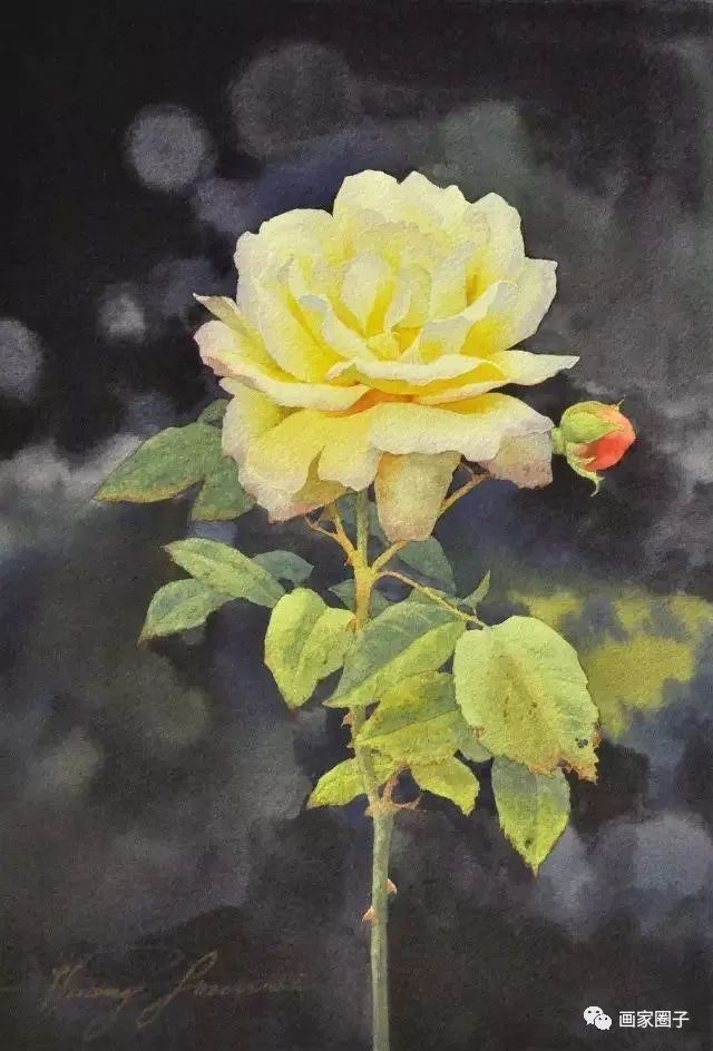 100种漂亮花卉图片,100张漂亮花图