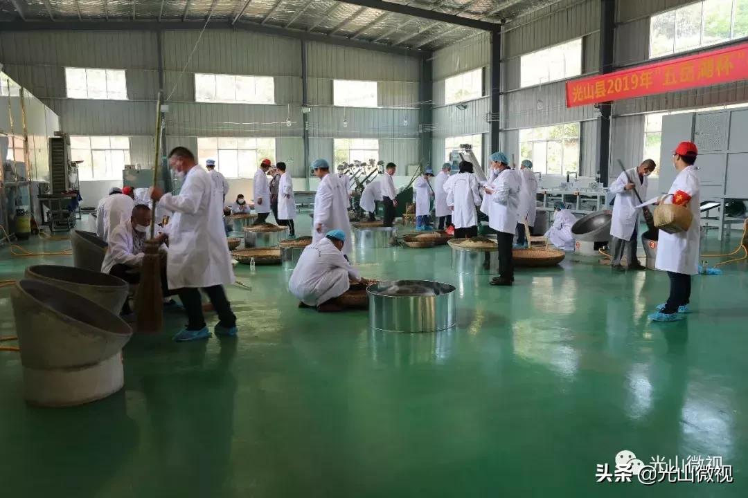 光山斗茶大赛完整版,信阳斗茶大赛获奖