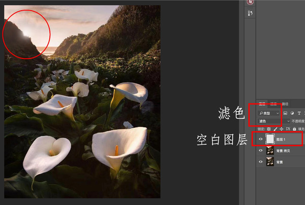 秘籍----移日*法大**