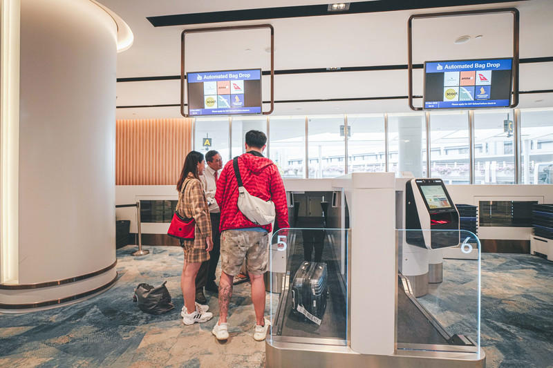 一人一猫环游,一人一猫旅行