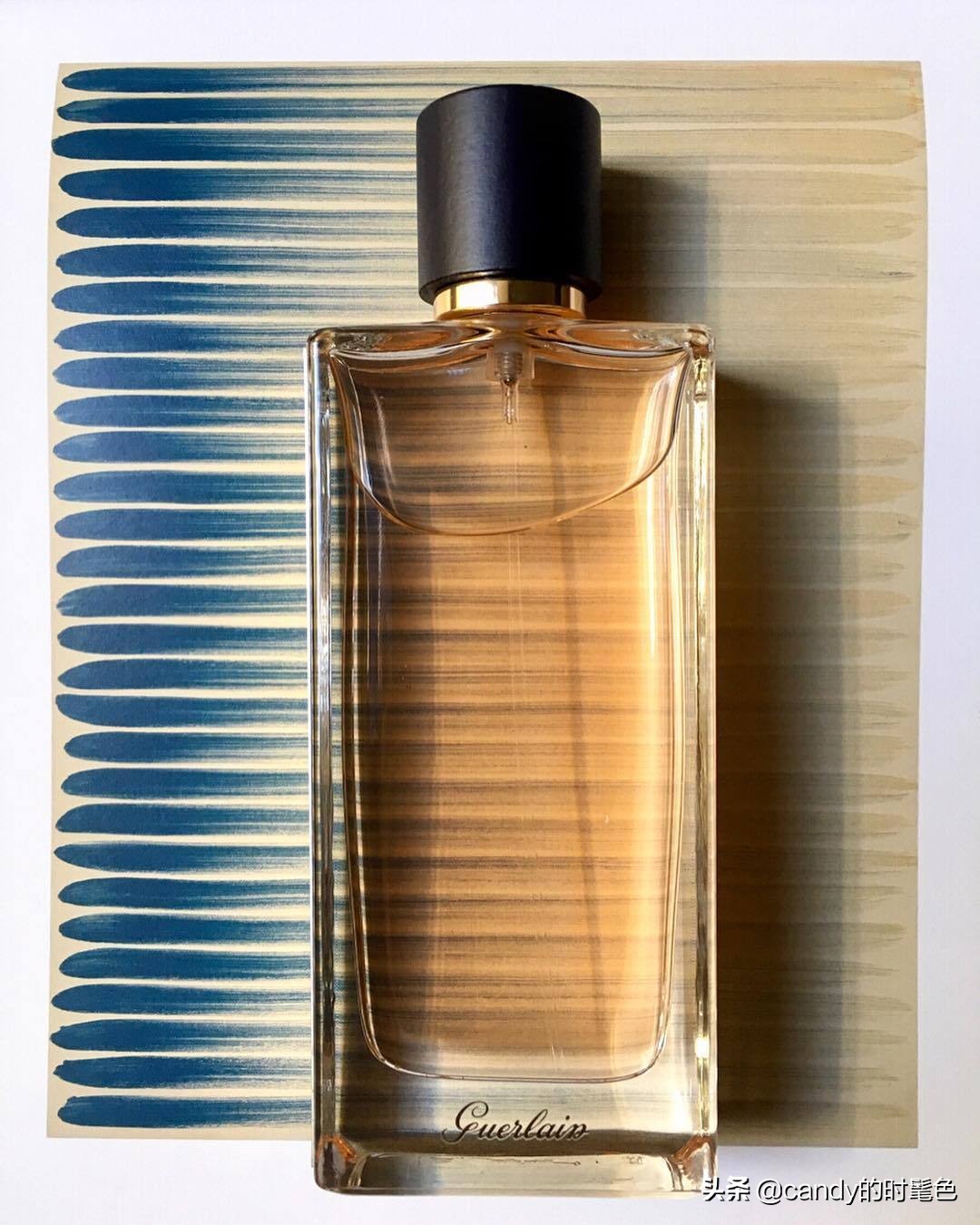 初夏|请你带上“栀子花”入梦