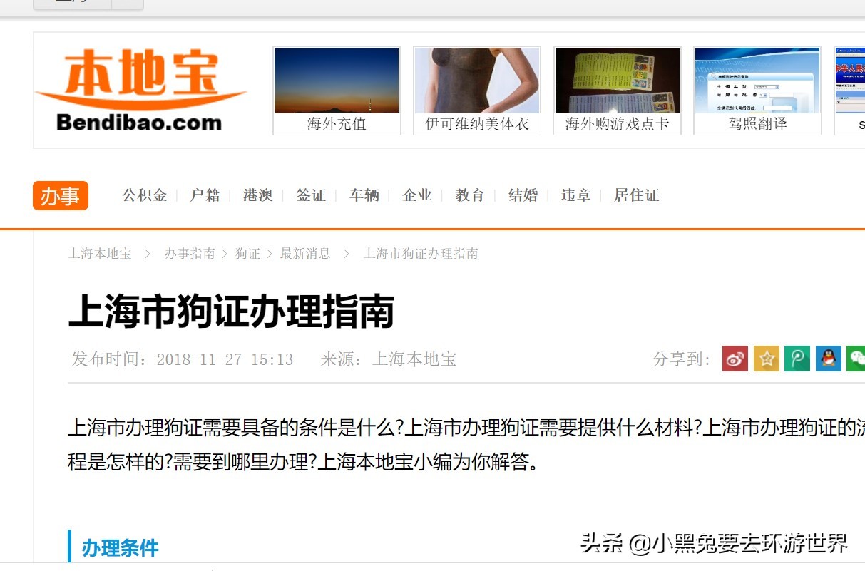 带宠物回国注意事项有哪些,从中国带宠物到国外需要什么手续