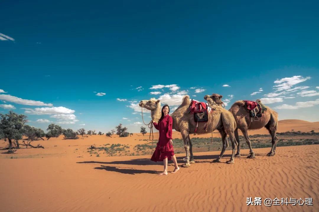 最美旅行地推荐,上半年国内最佳旅行地推荐