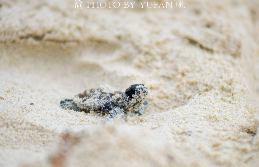 印度尼西亚巴厘岛一日游攻略,巴厘岛与雅加达旅游攻略