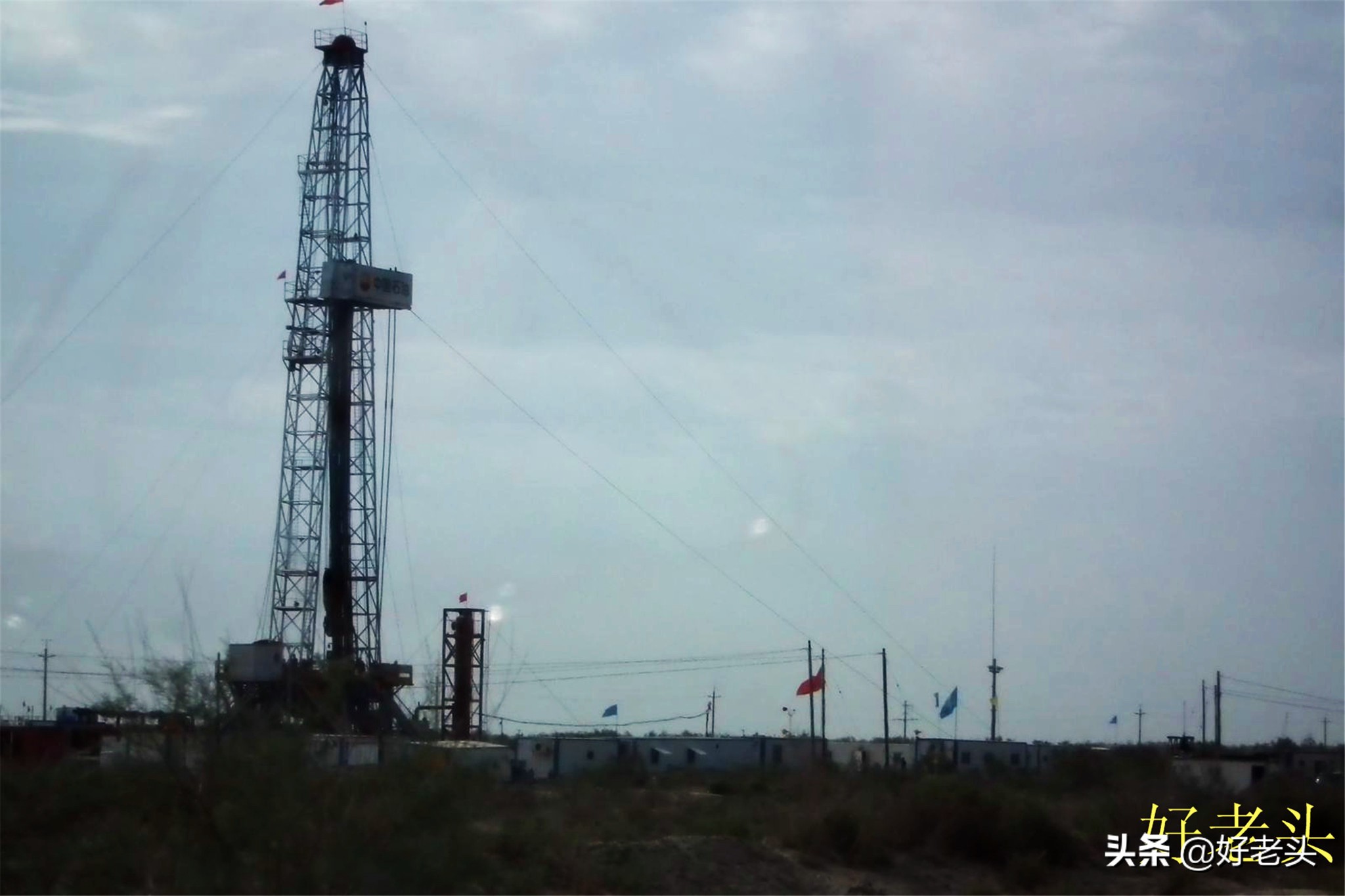 库尔勒轮台胡杨林风景区,胡杨林景区轮台