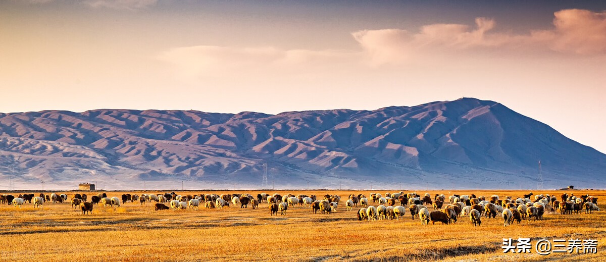 《敕勒歌》古诗背诵,小学生必背古诗词75首敕勒歌译文