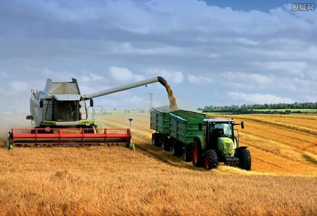 俄进口小麦,俄对华出口粮食