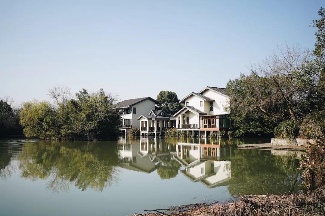 打卡南京西路新荣记,打卡新荣记