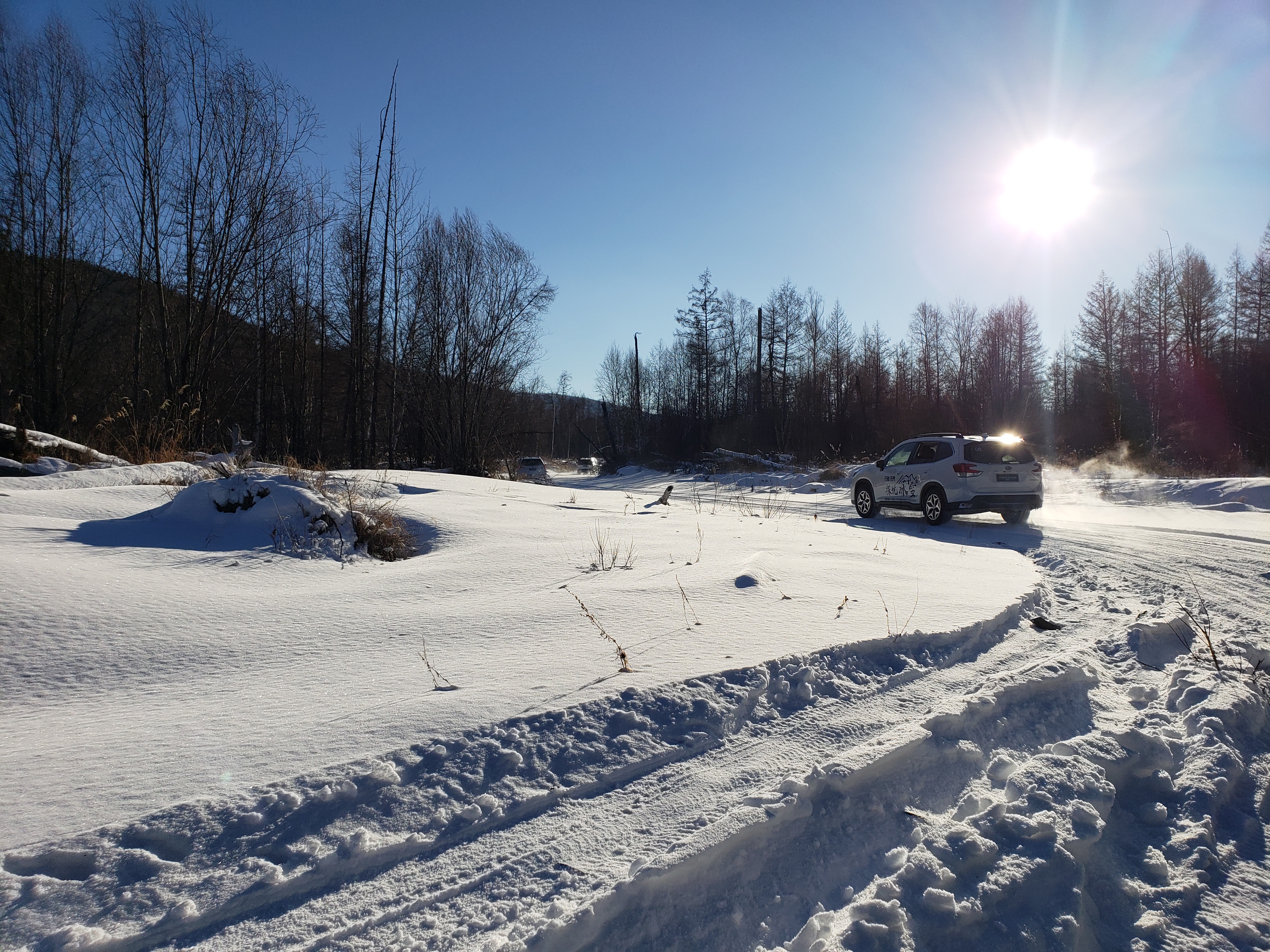 第五代森林人油电混动,第五代森林人报价