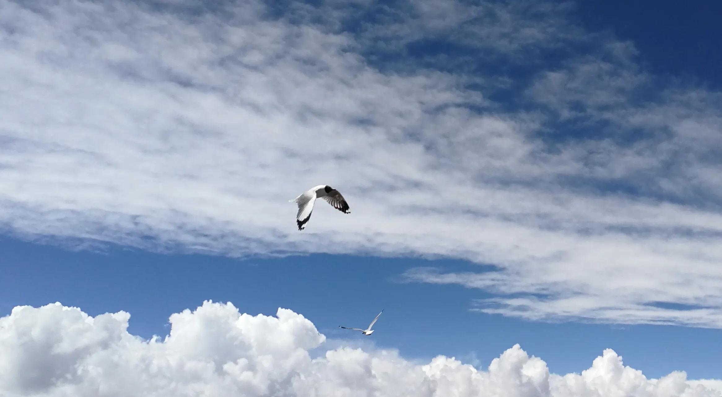 手拍世界（手机摄影平台）-群员作品集（总第671期）