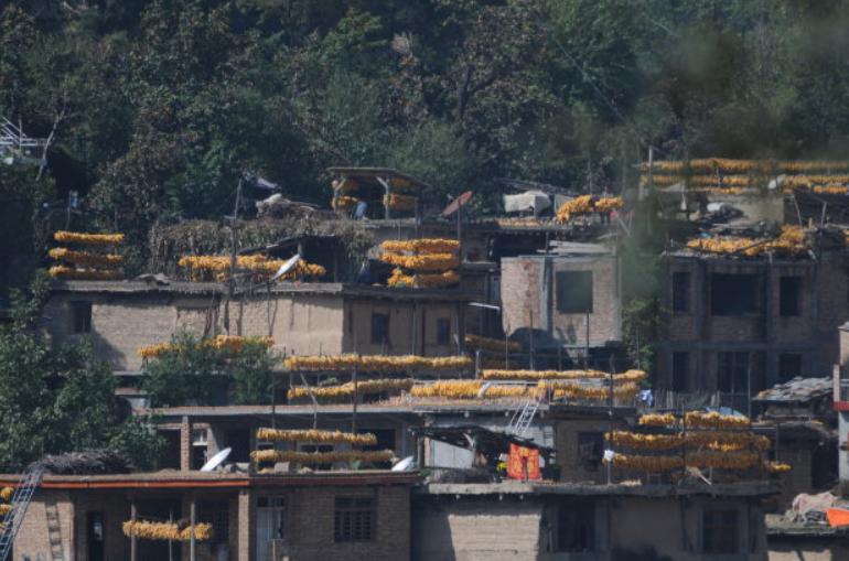 日本犬鸣村诡异事件,无数人在此自杀,近乎无人走出此隧道