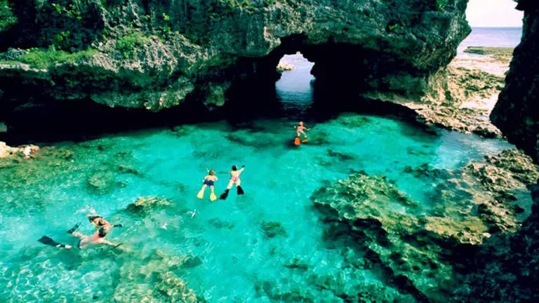 新西兰也有“小弟”纽埃（Niue），官方货币上竟然是比卡丘