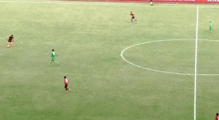 深足张鹭,张鹭事件