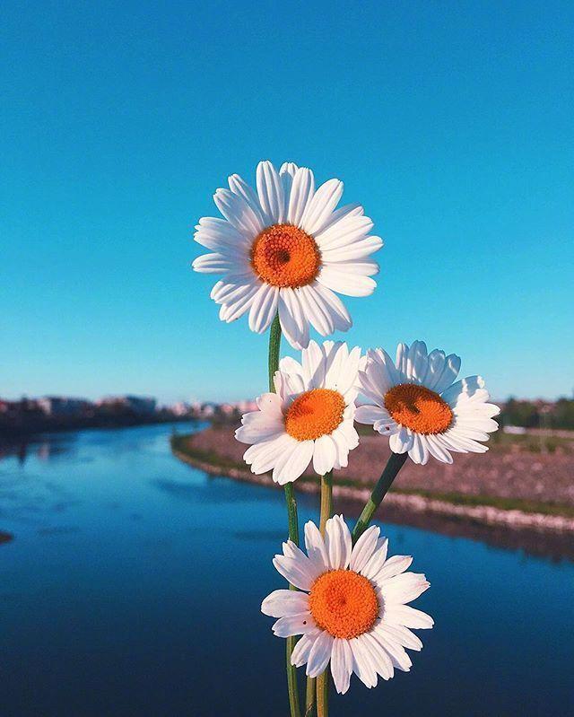 散文：乐观的人生，才会有更多的快乐